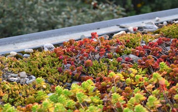 the cost of Coryton green roof installation