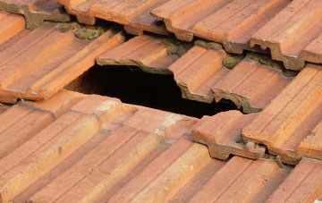 roof repair Coryton